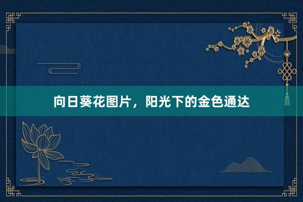 向日葵花图片，阳光下的金色通达