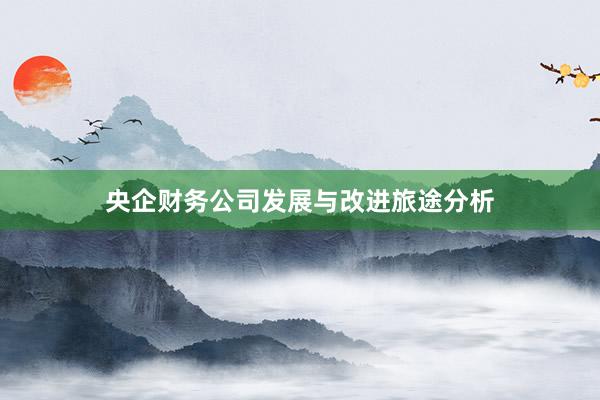 央企财务公司发展与改进旅途分析